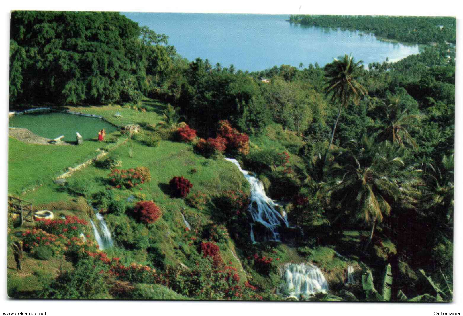 Jamaica - The Quiet Tropicel Gardens Of Jamaica's  North Shore Near Ocho Rios - Jamaïque