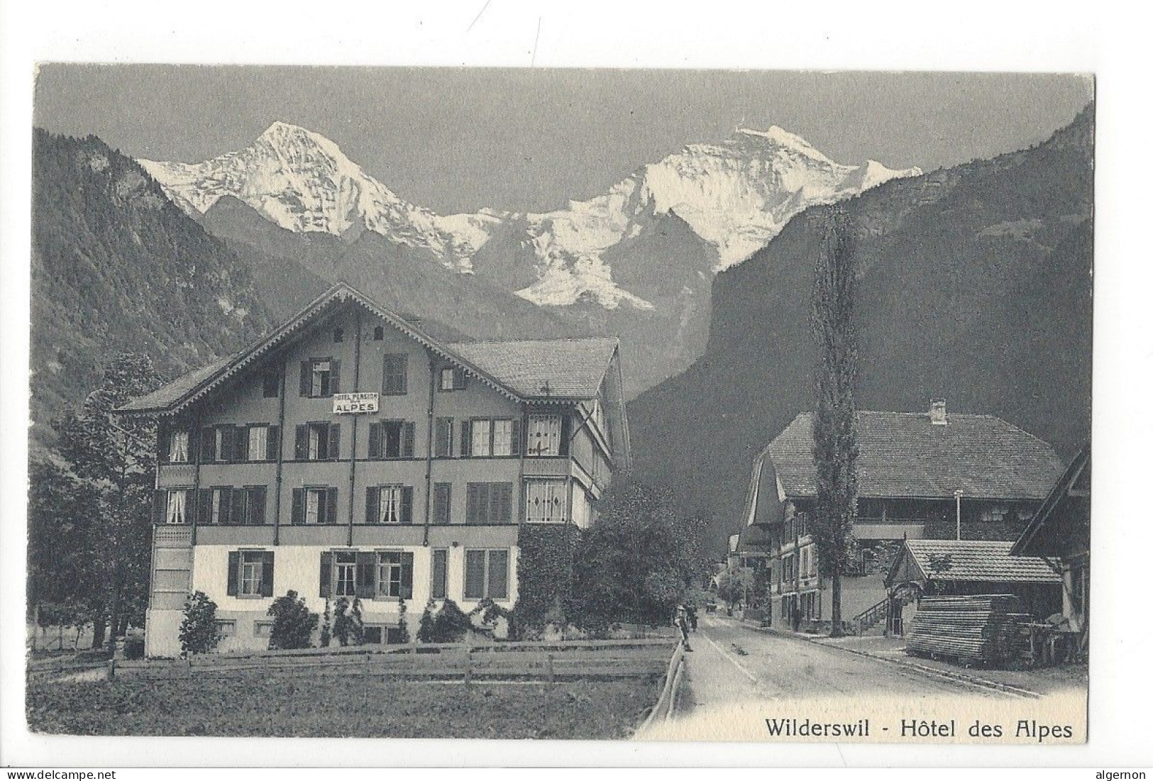 31745 - Wilderswil Hôtel Des Alpes - Wilderswil