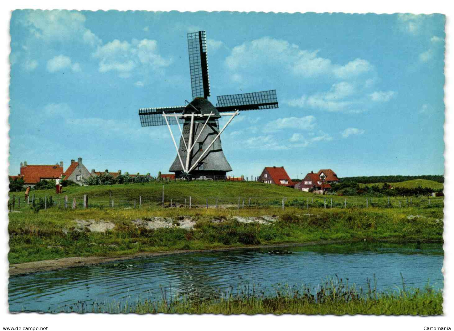 Ameland - Molen -De Phenix- - Ameland