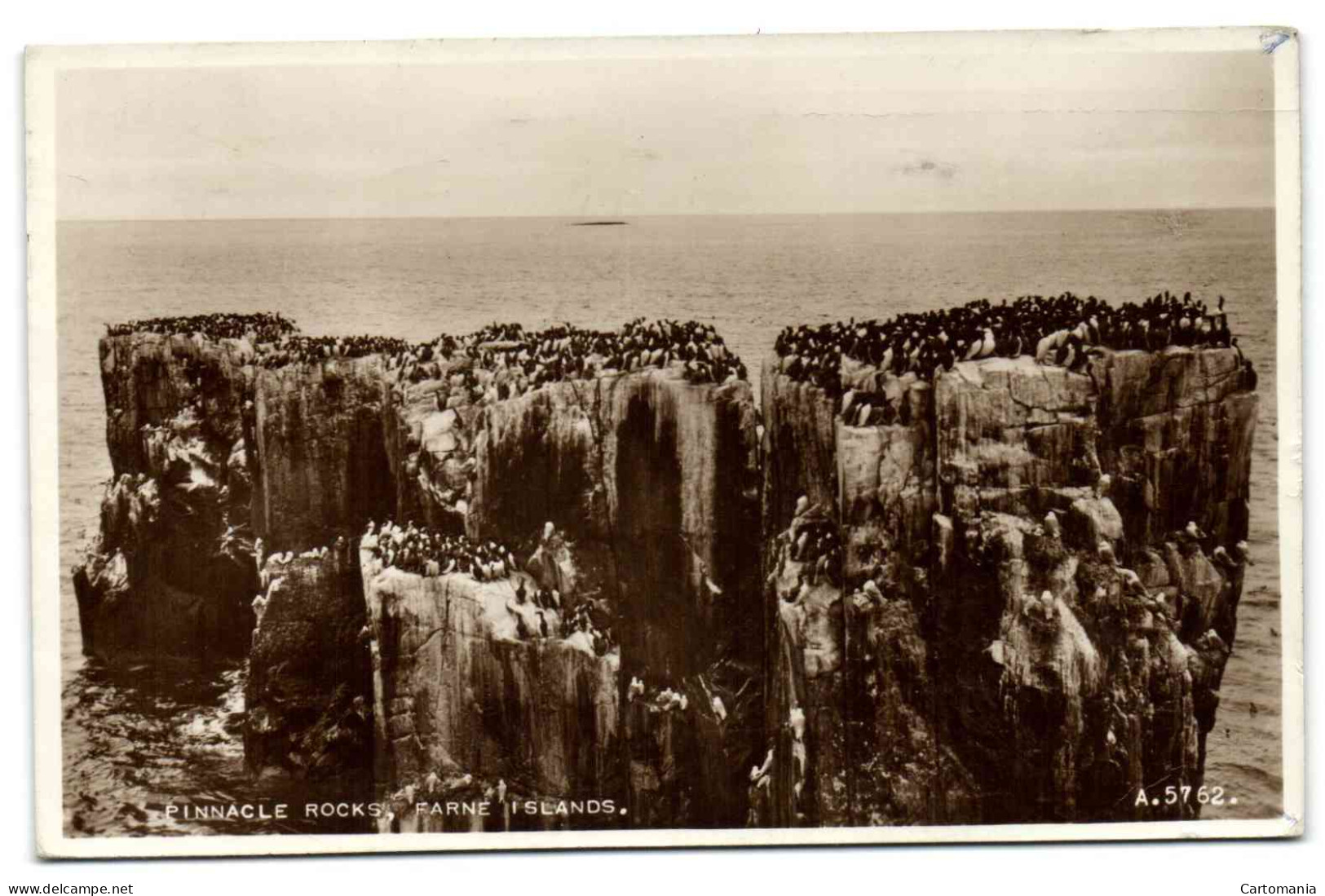 Pinnacle Rocks Farne Islands - Altri & Non Classificati