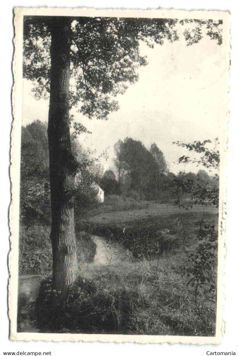 Gistoux - Vers Le Moulin - Chaumont-Gistoux