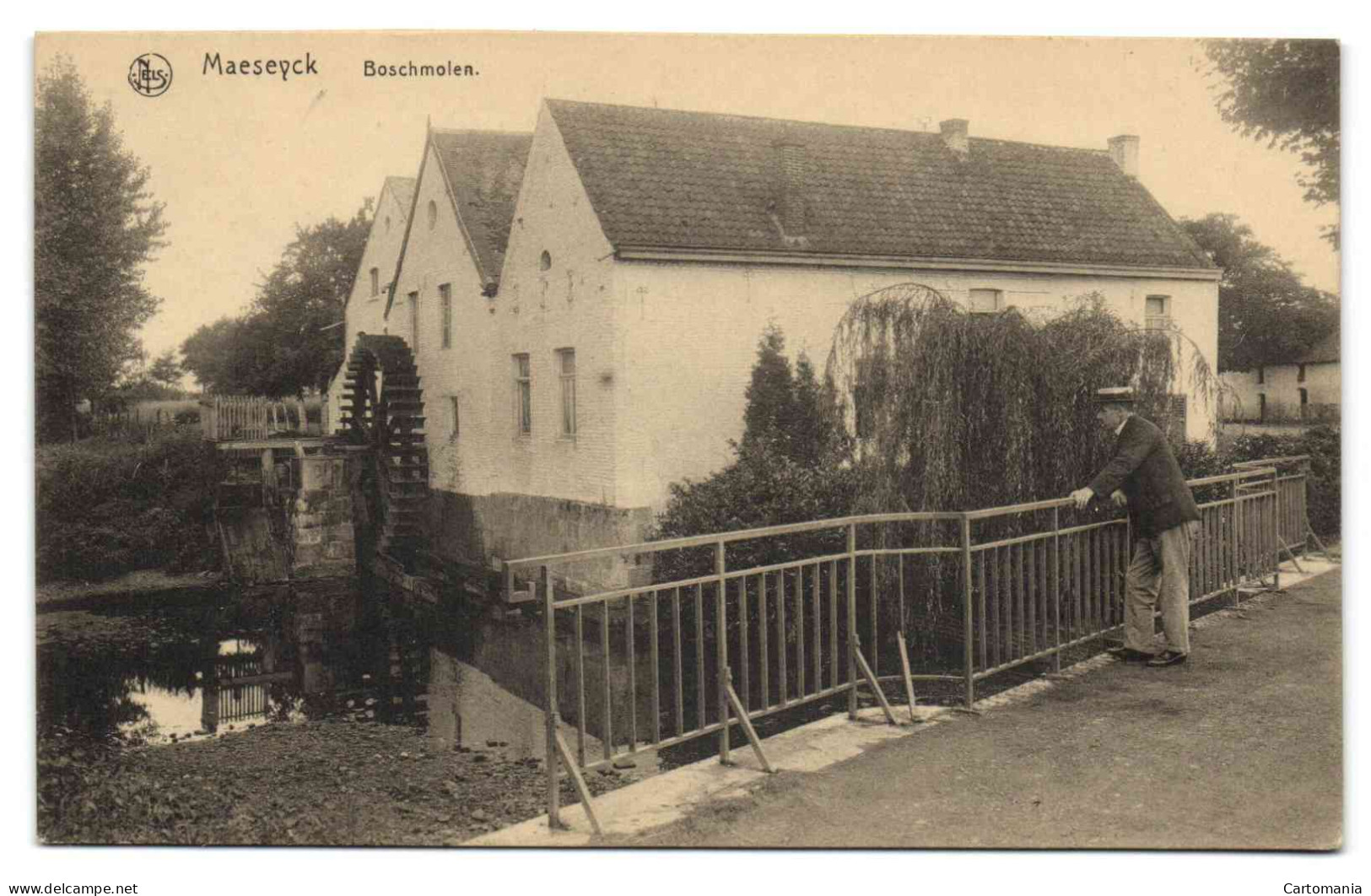 Maeseyck - Boschmolen (Uitg. Vanderdonck-Robyns) - Maaseik