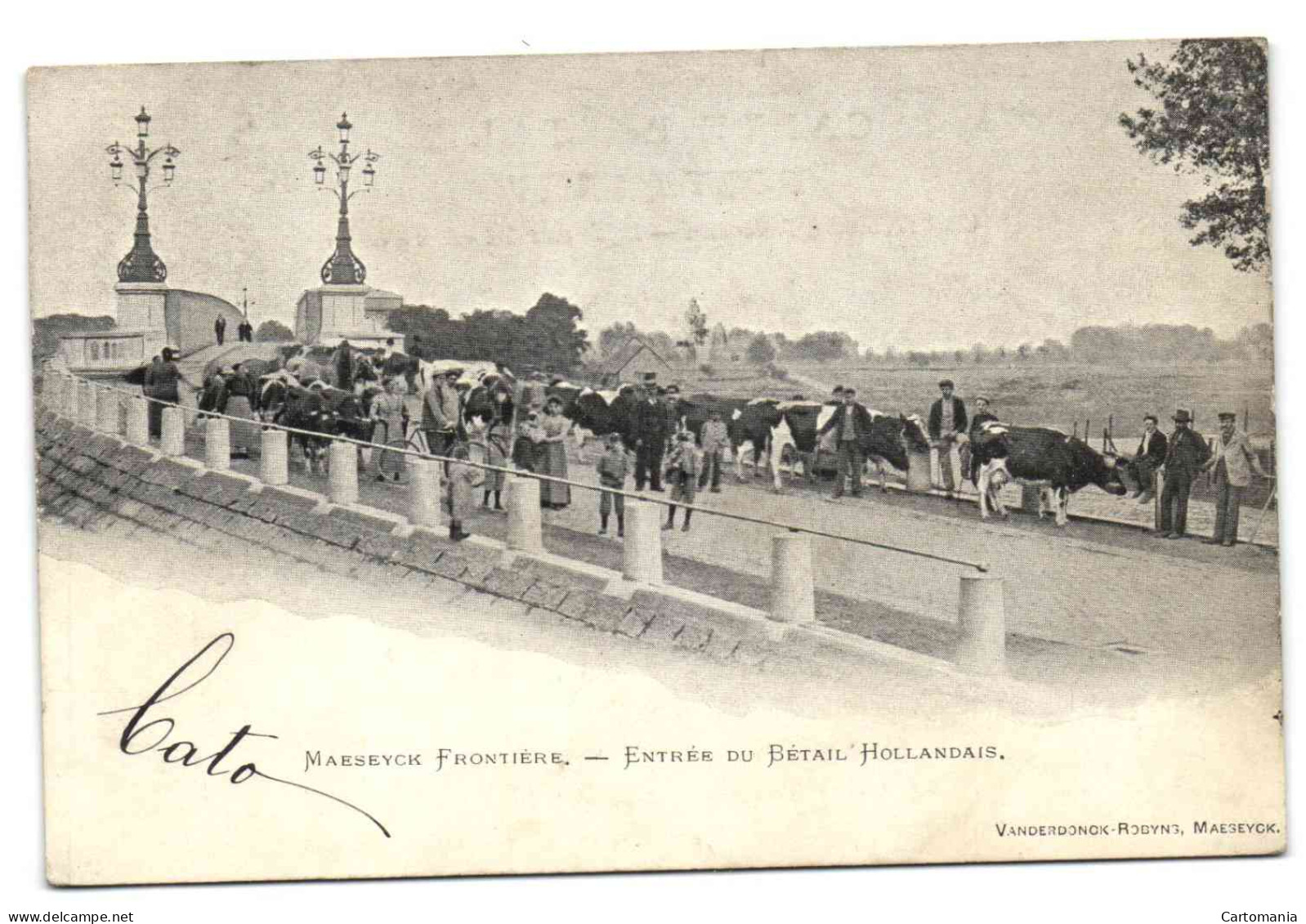 Maeseyck Frontière - Entrée Du Bétail Hollandais (Vanderdonck-Robyns) - Maaseik