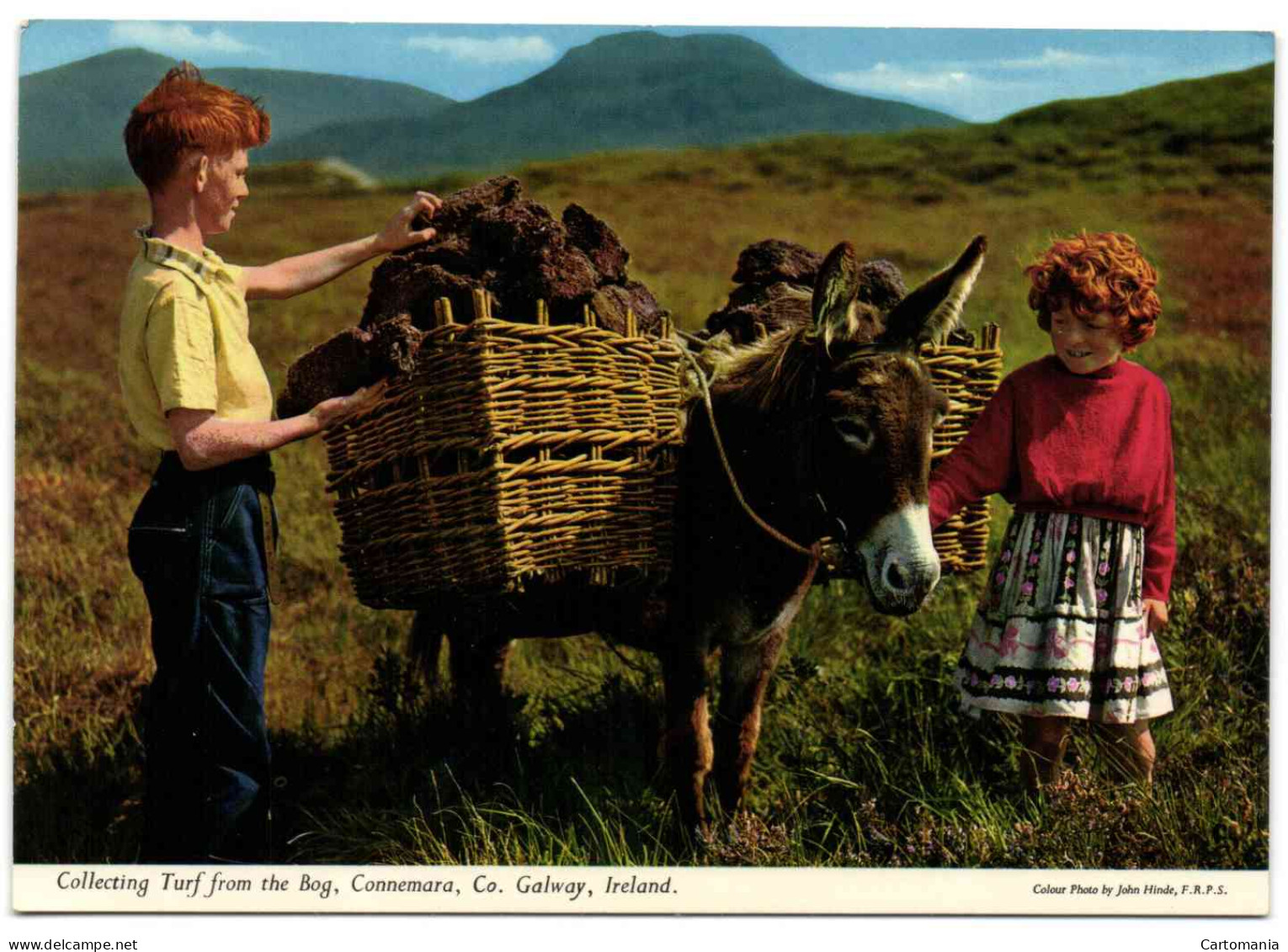 Connemara - Collecting Turf - Galway