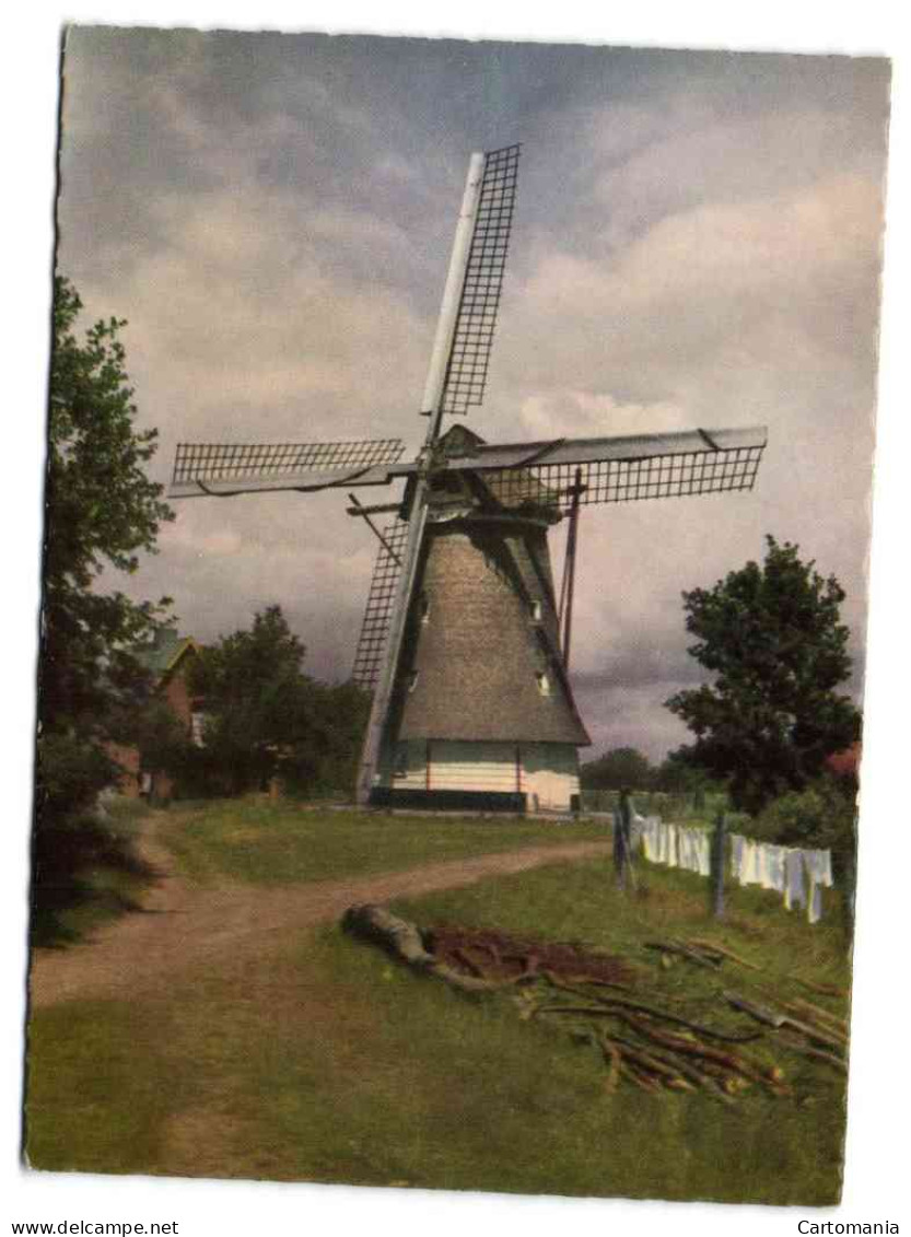 Korenmolen De Hoop Te Lunteren - Ede