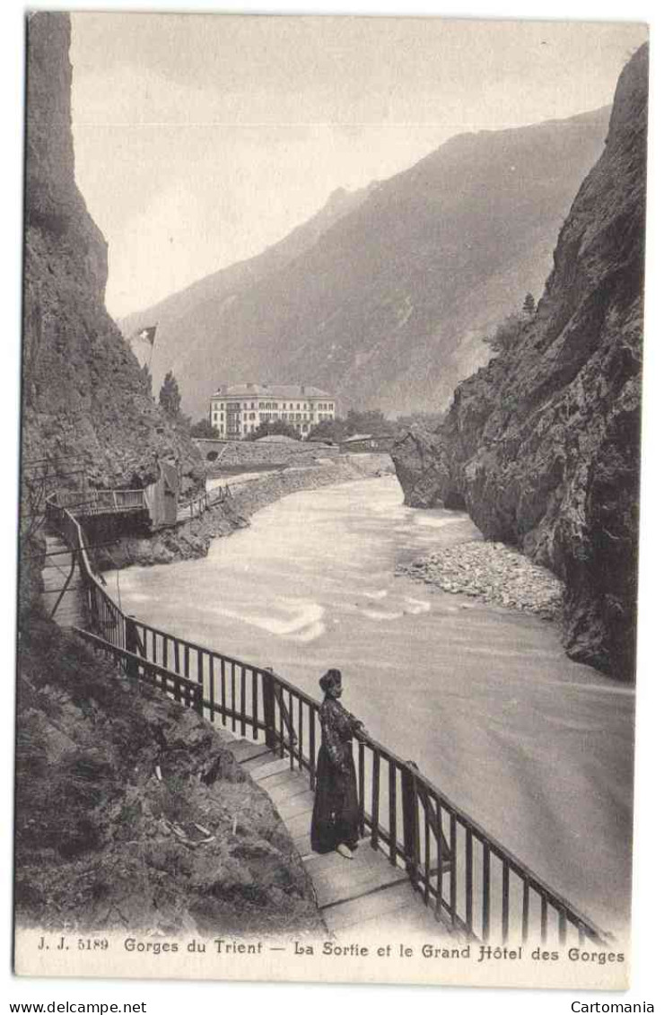 Gorges Du Trient - La Sortie Et Le Grand Hôtel Des Gorges - Trient