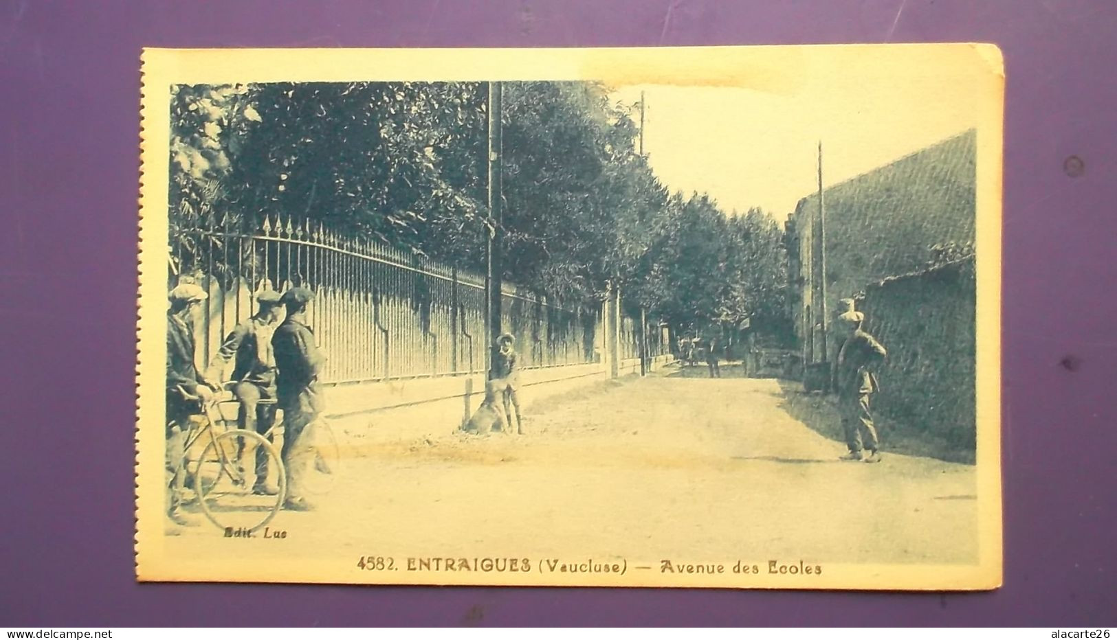 CPA 84 - ENTRAIGUES - Avenue Des Ecoles - Entraigue Sur Sorgue