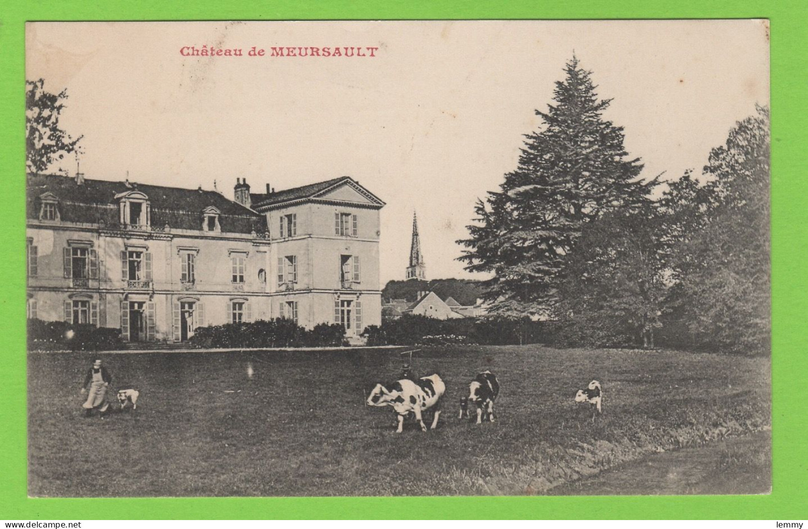 21 - MEURSAULT - LE CHÂTEAU -  VACHES AU PACAGE - Meursault