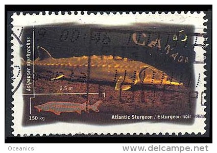 Canada (Scott No.1643 - Poisson Au Salée / Ocean Water Fish) (o) - Oblitérés