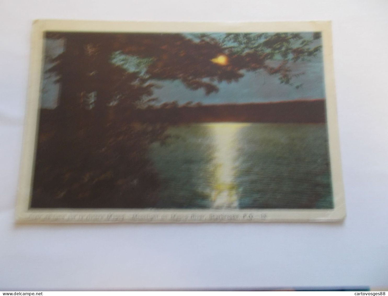 CLAIR DE LUNE SUR LA RIVIERE MAGOG  P.Q ( CANADA QUEBEC ) MOONLIGHT ON MAGOG RIVER SHERBROOKS  COLORISER 1947 BEAU TIMBR - Sherbrooke