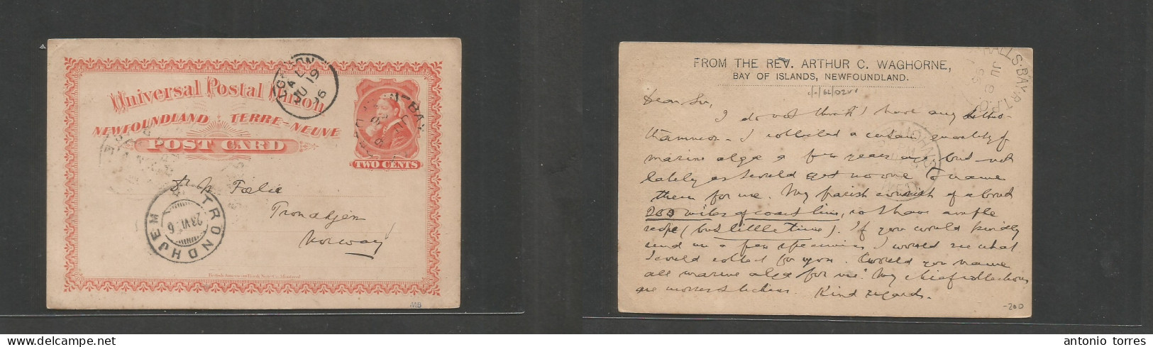 Canada. 1896 (June 6) Newfoundland, Bay Of Islands - Norway, Trondhjem (23 June) 2a Orange QV Stat Card Via London. Miss - Sonstige & Ohne Zuordnung