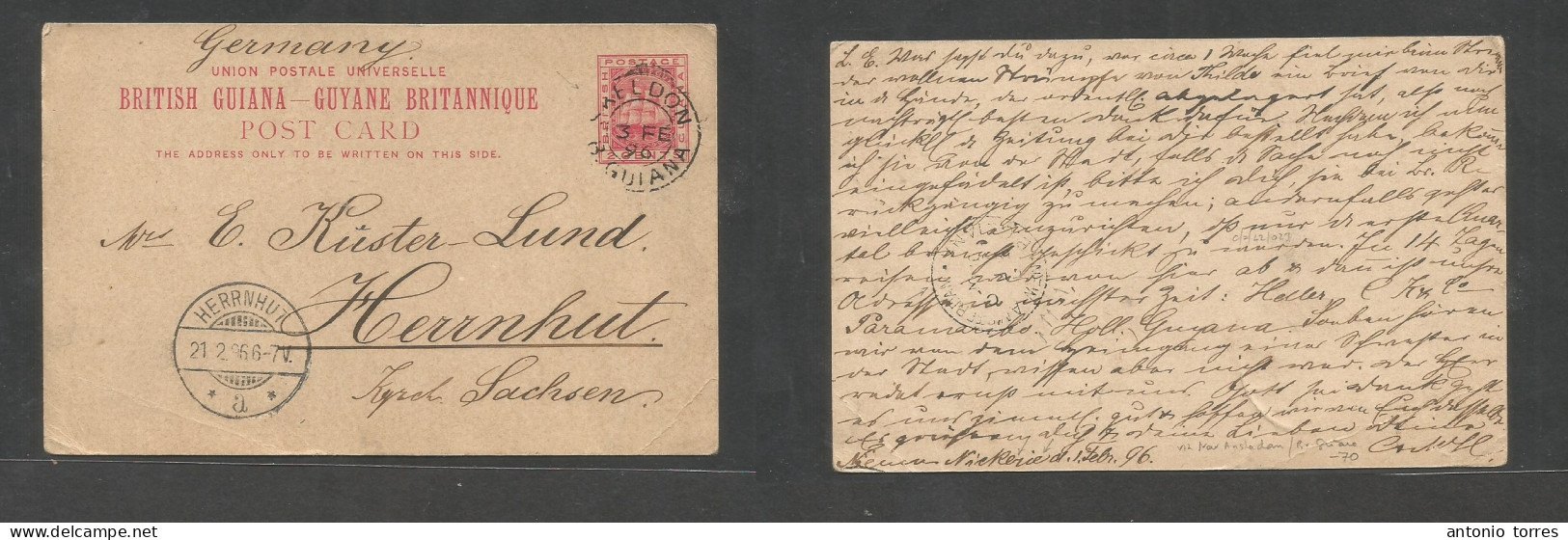 Bc - Br. Guiana. 1896 (3 Feb) Skeldon - Germany, Herrnhut (21 Feb) 2c Red Stat Card Via New Amsterdam. Reverse Cds Trans - Sonstige & Ohne Zuordnung