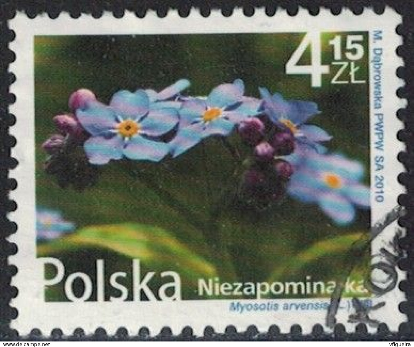 Pologne 2010 Oblitération Ronde Used Fleur Plante Niezapominajka Myosotis Arvensis - Gebruikt