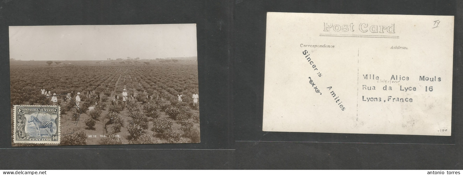 Portugal-Nyassa Company. 1935 (28 Aug) Lago - France, Lyon. Fkd Photo Ppc. Tea Estate. Fine Mail Most Scarce. - Andere & Zonder Classificatie