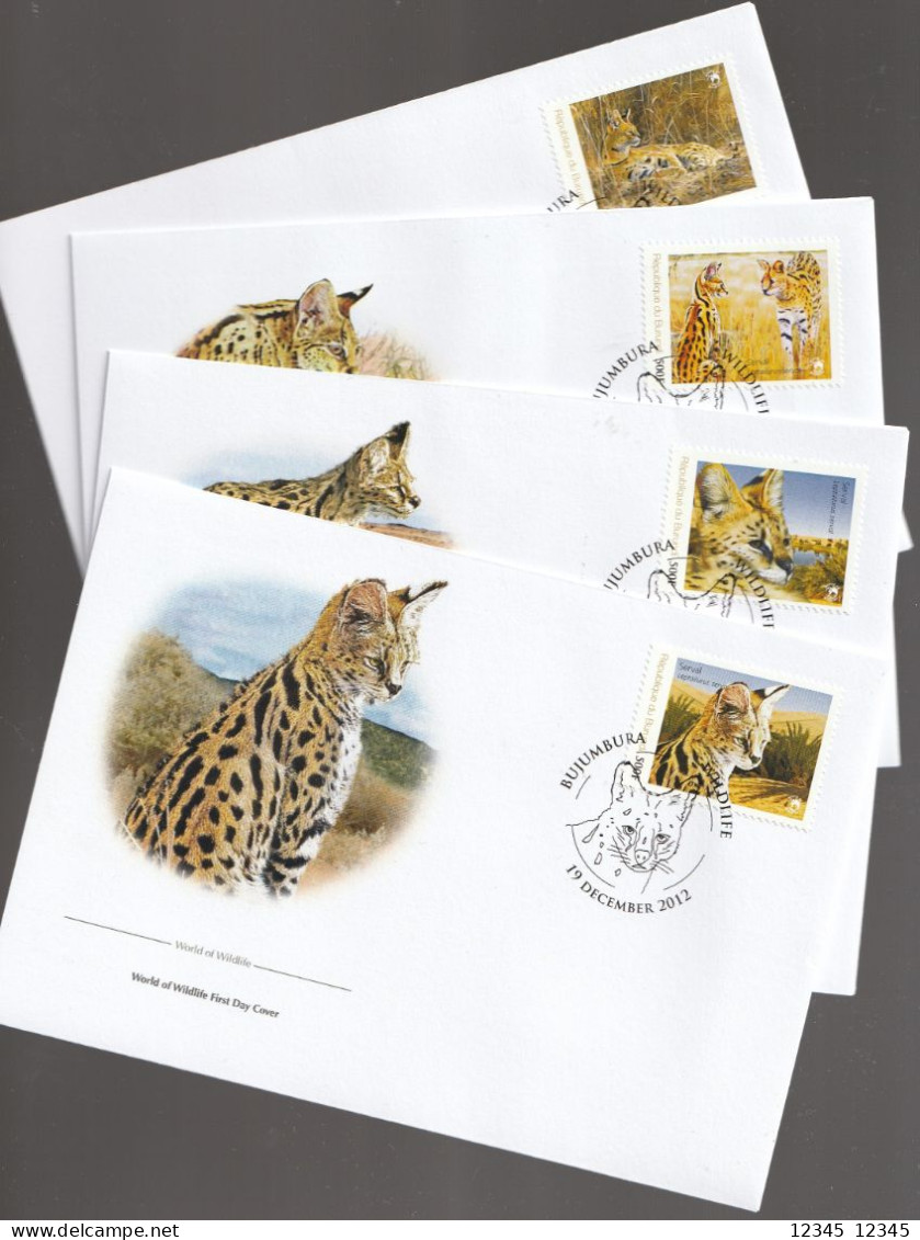 Burundi 2012, FDC, WWF, Serval - FDC