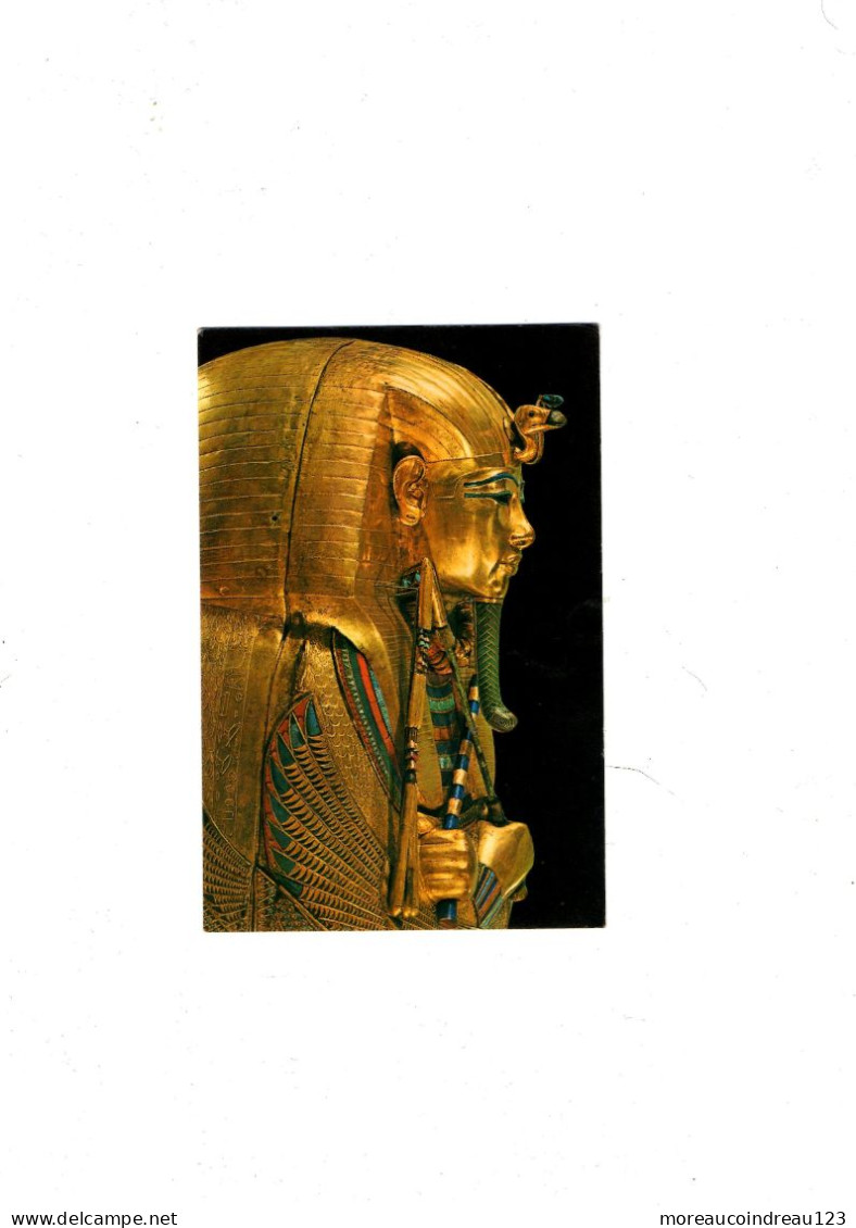 C.P. Egypte Caire Musée Egyptien - Museos