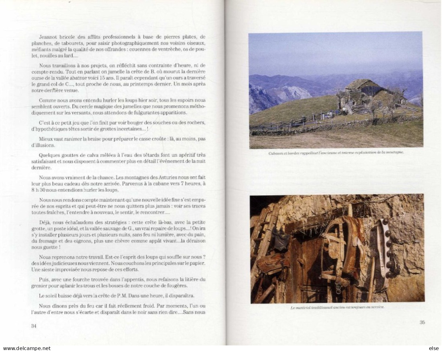 PYRENEES  N° 185 N° 1  1996  -  LE MONT VALIER   AUX LOUPS EN ASTURIES    -  LES PYRENEES   -    PAGES 1 A 96 - Midi-Pyrénées