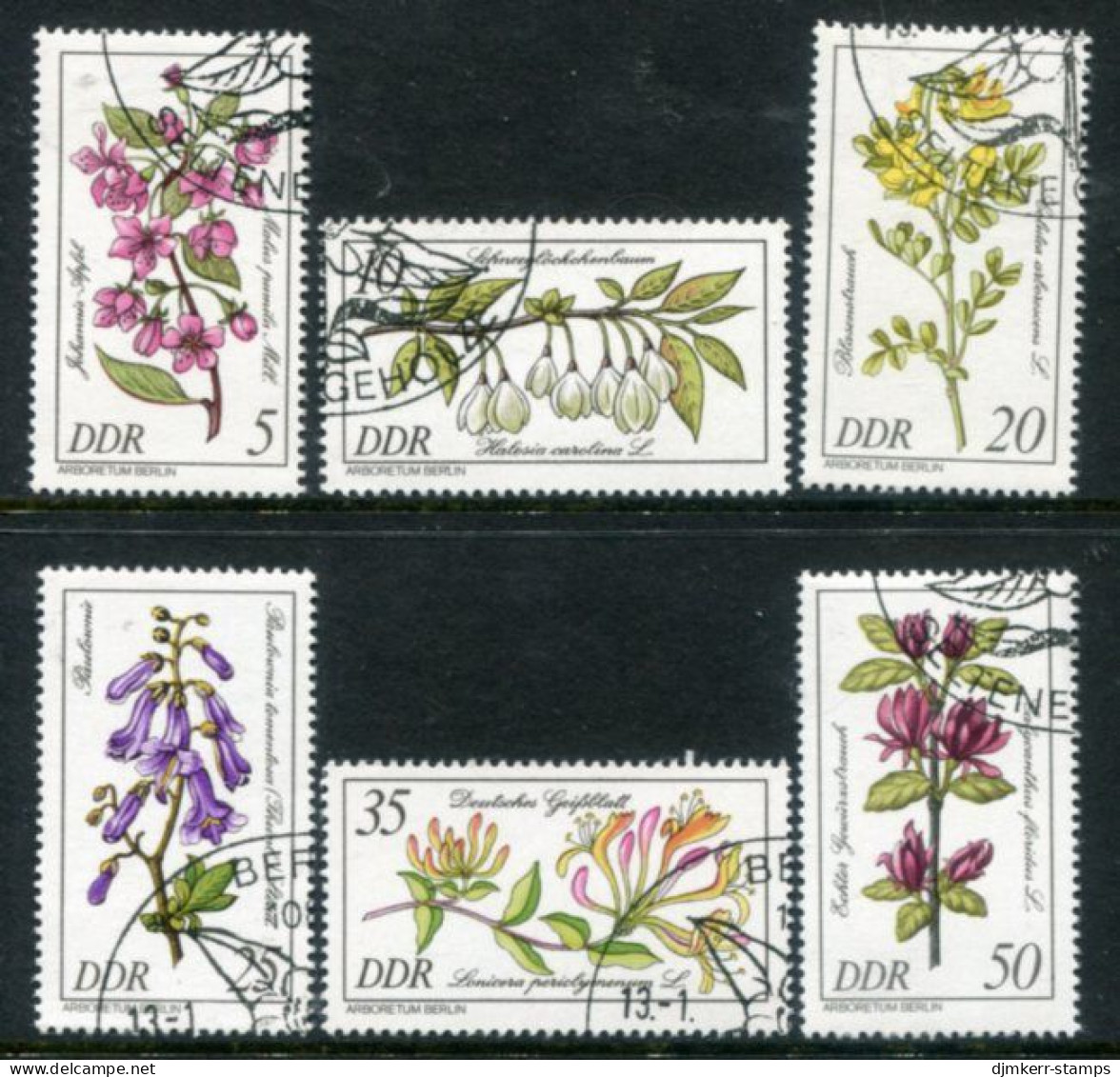 DDR 1981 Rare Wild Flowers  Used.  Michel 2573-78 - Used Stamps