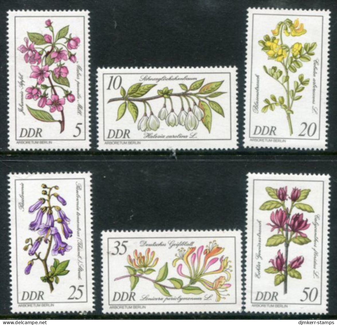 DDR 1981 Rare Wild Flowers  MNH / **.  Michel 2573-78 - Neufs