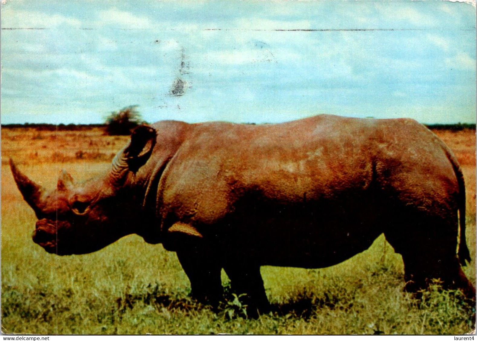 4-11-2023 (1 V 21) Kenya - Posted From Monbasa To France 1952 - Rhinoceros - Rhinocéros
