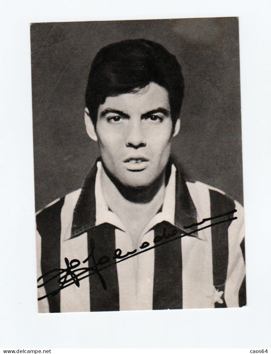 Sandro Salvadore Juventus Con Autografo Stampato 11,5 X  16 Cm.Vintage - Habillement, Souvenirs & Autres