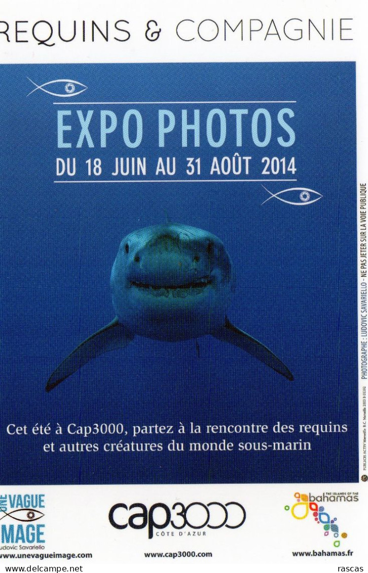 CPM - M - ALPES MARITIMES - SAINT LAURENT DU VAR - CAP 3000 - EXPO PHOTOS - REQUINS ET COMPAGNIE - 2014 - Saint-Laurent-du-Var