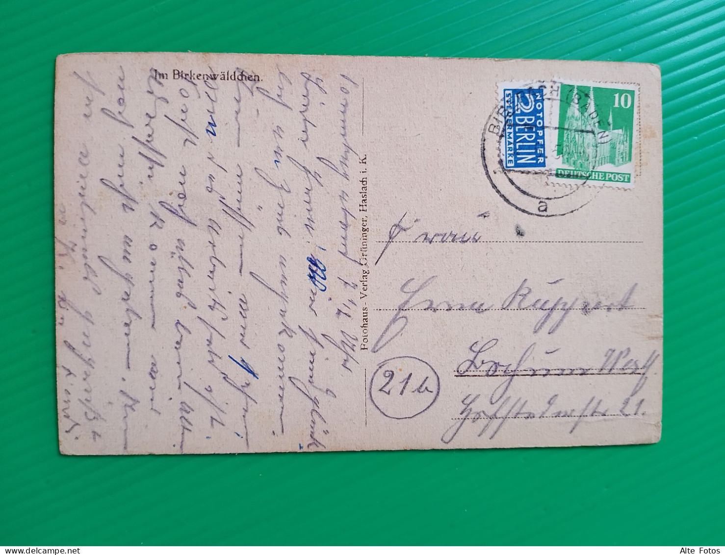 Alte AK Ansichtskarte Postkarte Haslach Baden Württemberg Schwarzwald Birkenwäldchen Deutschland  Allemagne Alt Old - Haslach