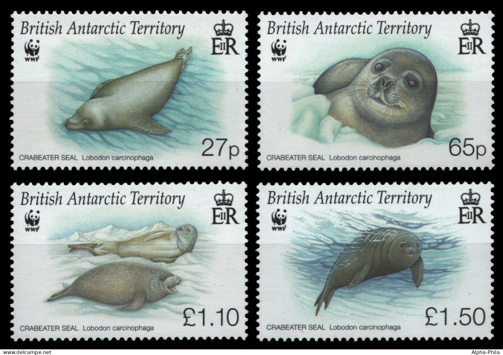 BAT / Brit. Antarktis 2009 - Mi-Nr. 505-508 ** - MNH - Robben / Seals - Ongebruikt