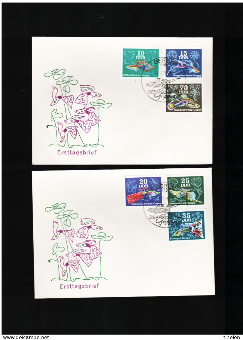 Ddr -germania Est - 1976 Fdc Pesci - 1971-1980