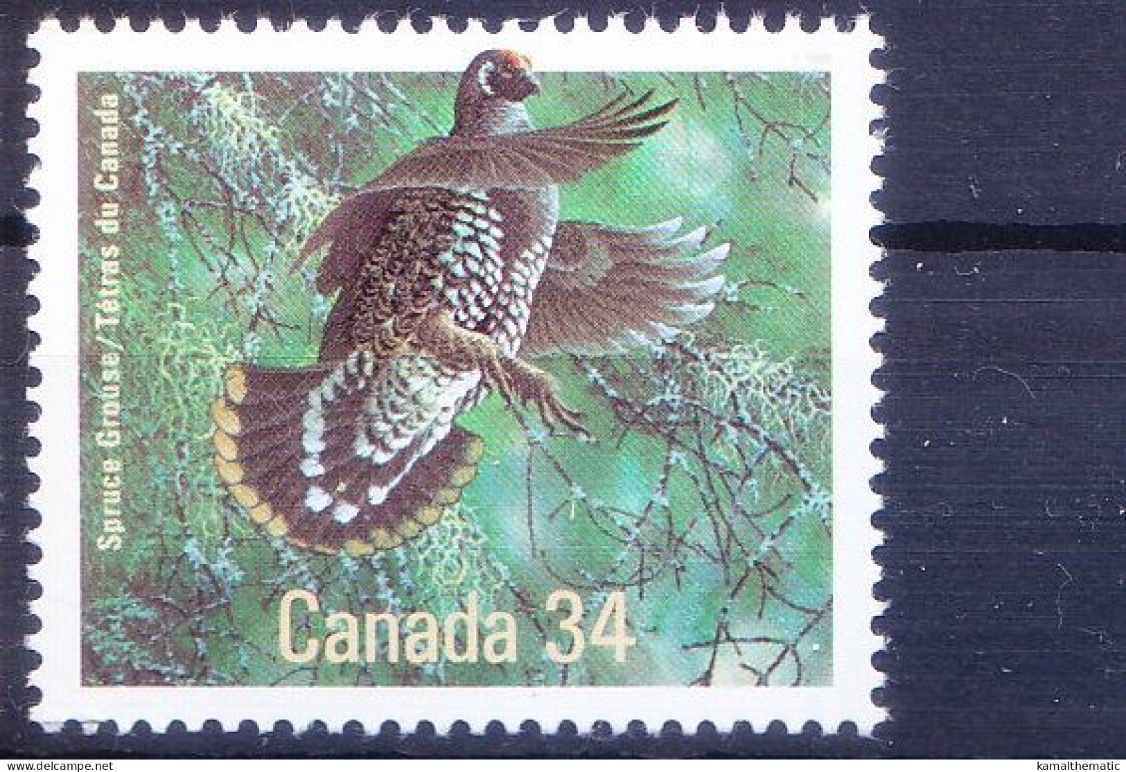 Spruce Grouse, Ducks, Water Birds, Canada 1986 MNH - Gänsevögel