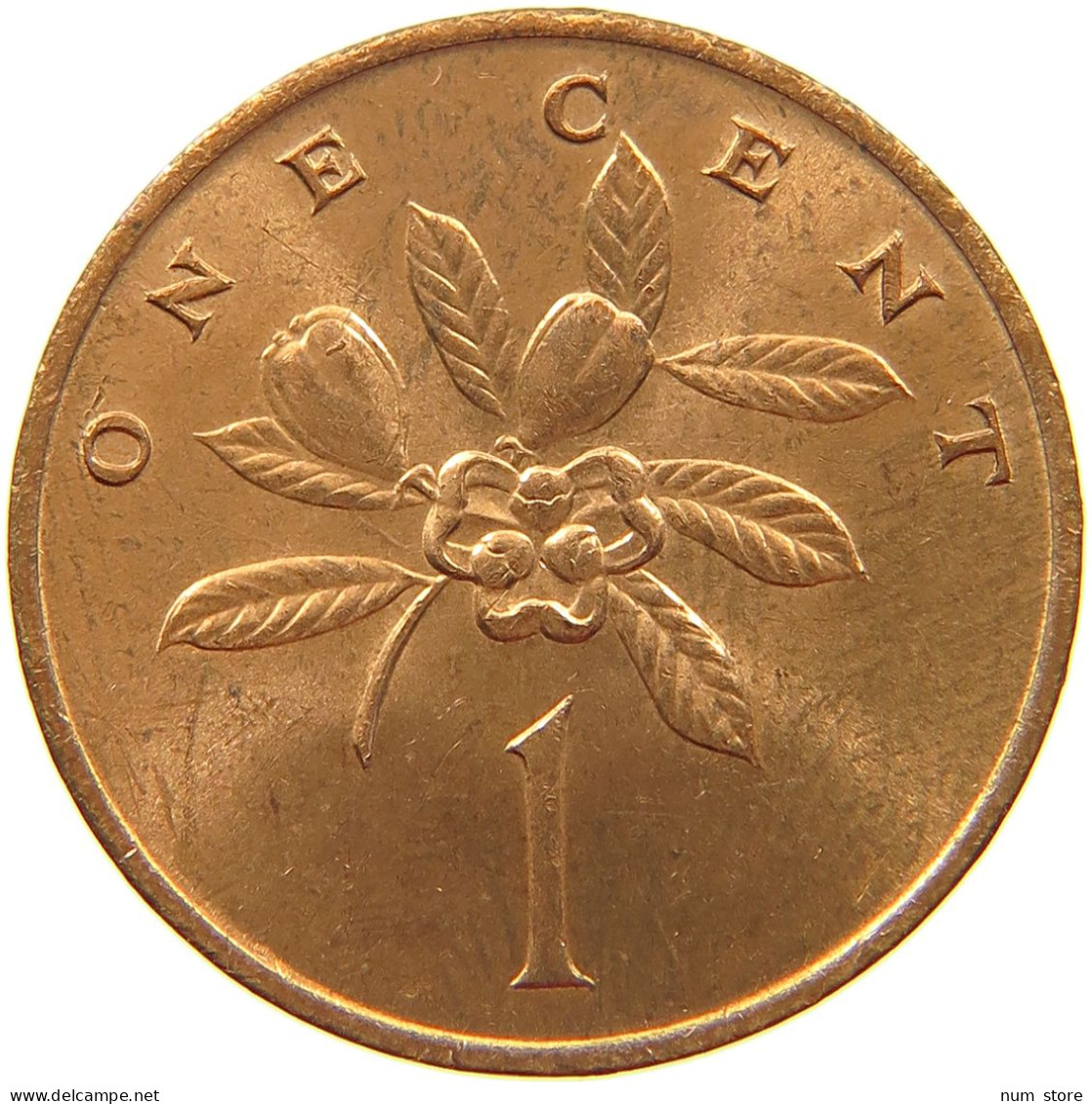 JAMAICA CENT 1989  #s067 0167 - Jamaica