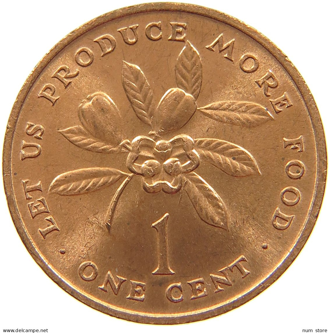 JAMAICA CENT 1972  #s067 0131 - Giamaica