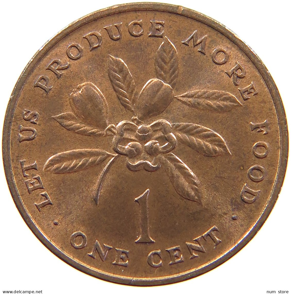 JAMAICA CENT 1973  #s062 0233 - Jamaique