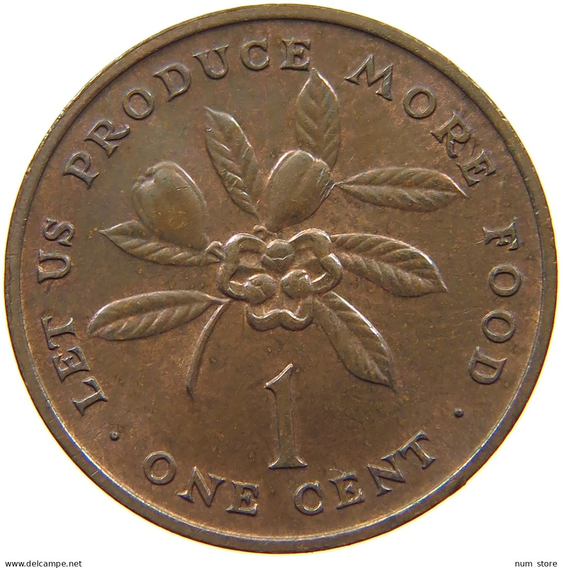 JAMAICA CENT 1973  #s062 0231 - Jamaica