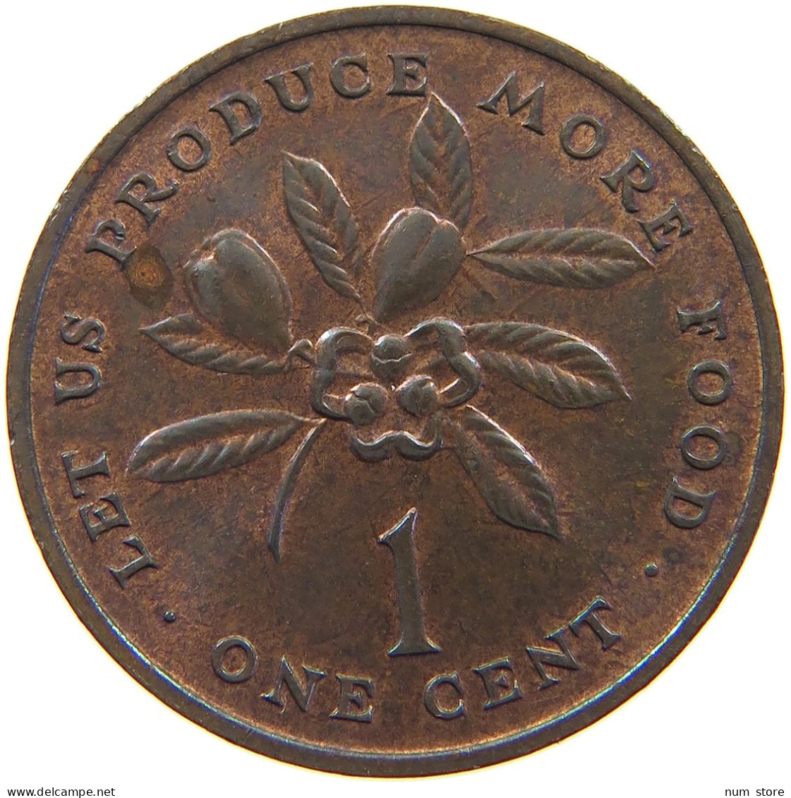 JAMAICA CENT 1971  #c079 0161 - Jamaica