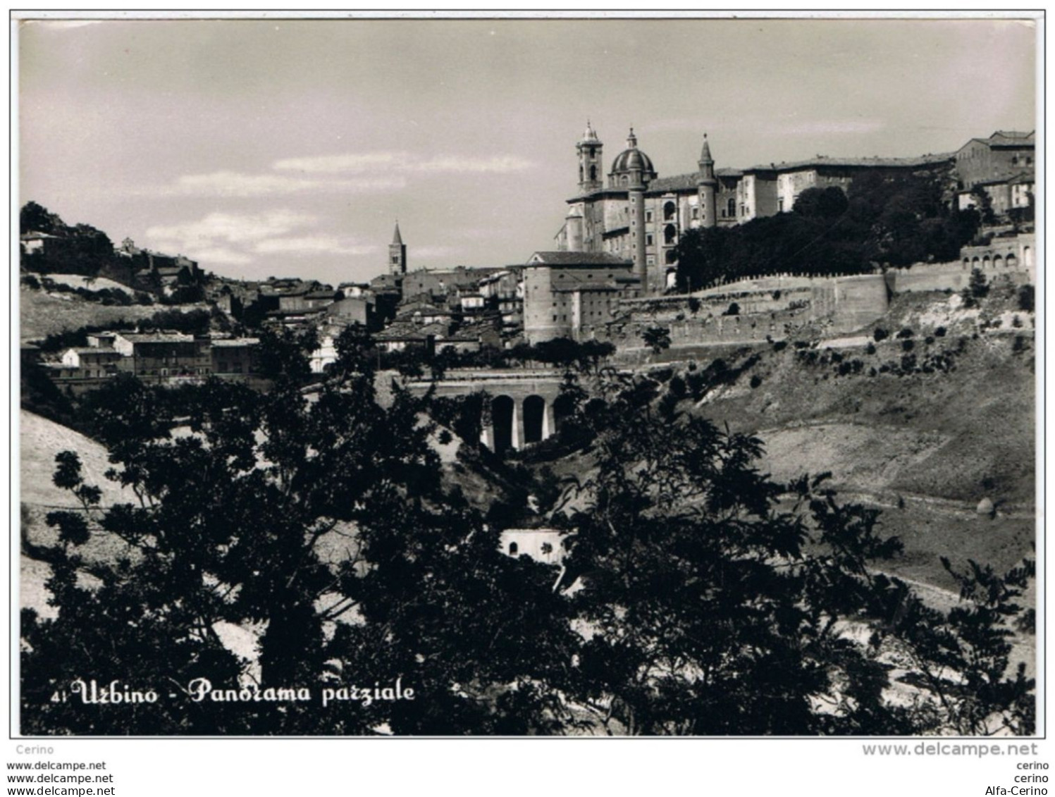 URBINO:  PANORAMA  PARZIALE  -  PER  LA  SVIZZERA  -  FOTO  -  FG - Urbino