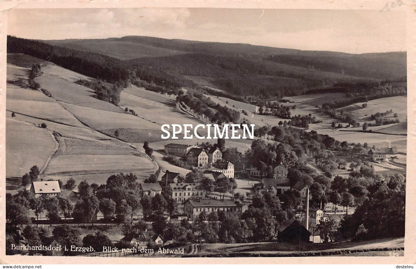 Burkhardtsdorf  I. Erzgeb - Blick Nach Dem Abtwald - Burkhardtsdorf