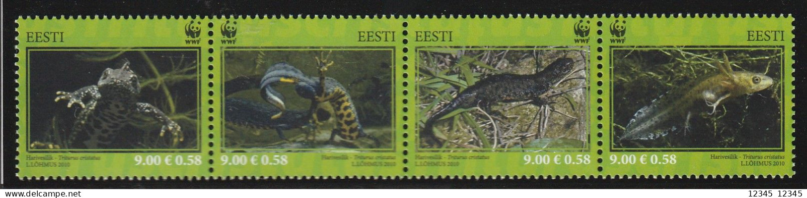 Estland  2010, Postfris MNH, WWF, Triturus Cristatus - Estonie