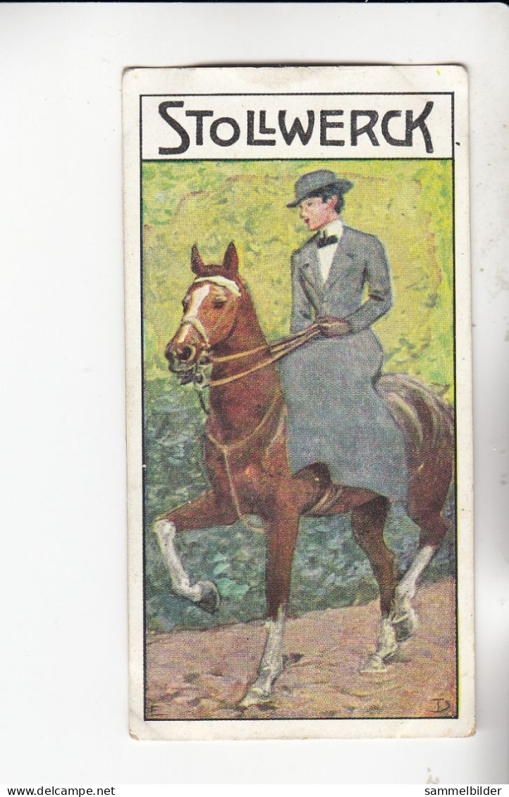 Stollwerck Album No 15 Sport Reiten    Grp 566#6 Von 1915 - Stollwerck