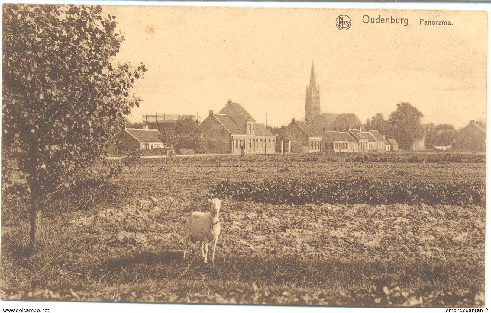 Oudenburg (panorama Met Geit) - Oudenburg