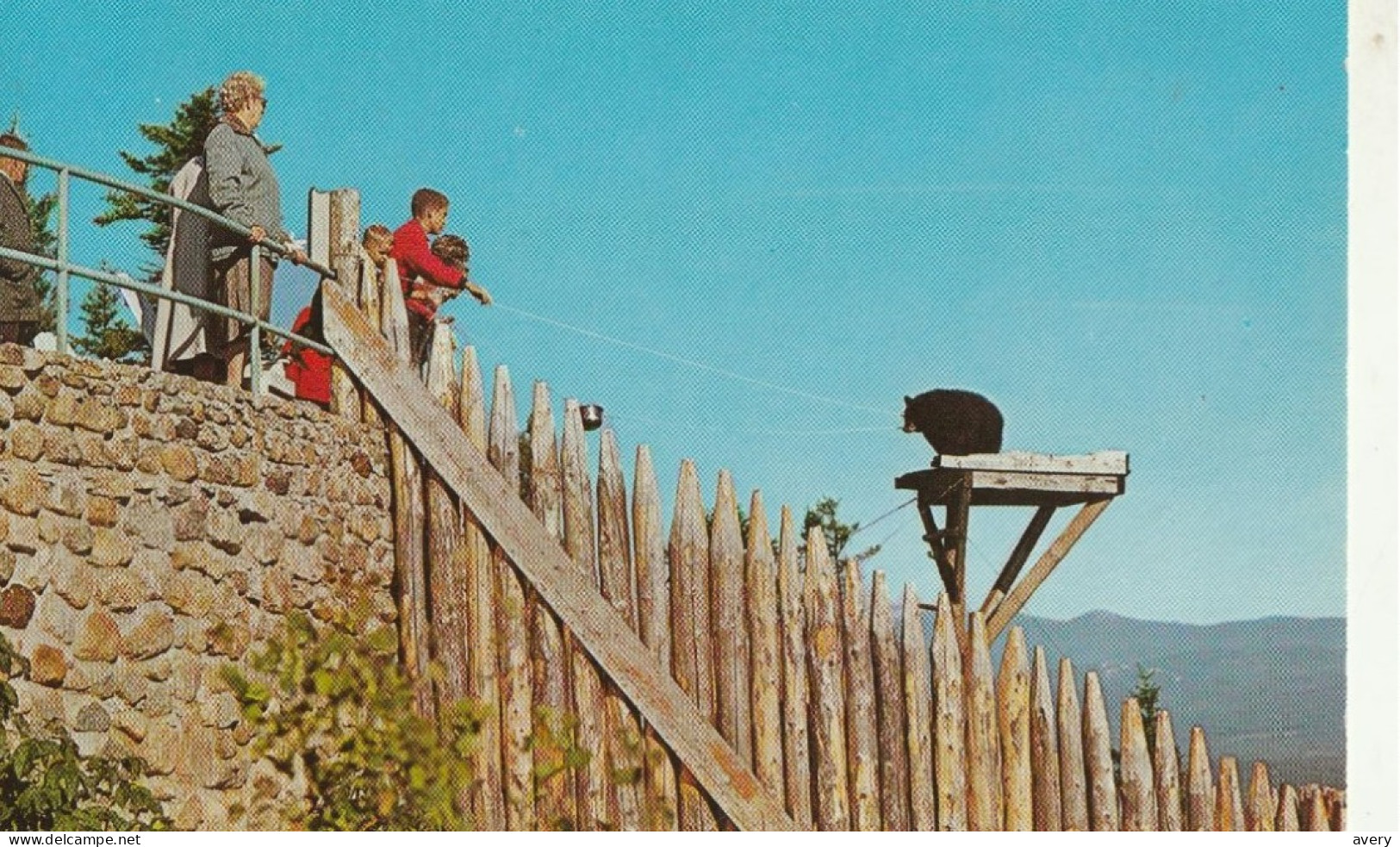 Mount Agassiz, Bethlehem, New Hampshire   Feed The Native Black Bears At Summit Visit Smokey's Trading Post - White Mountains