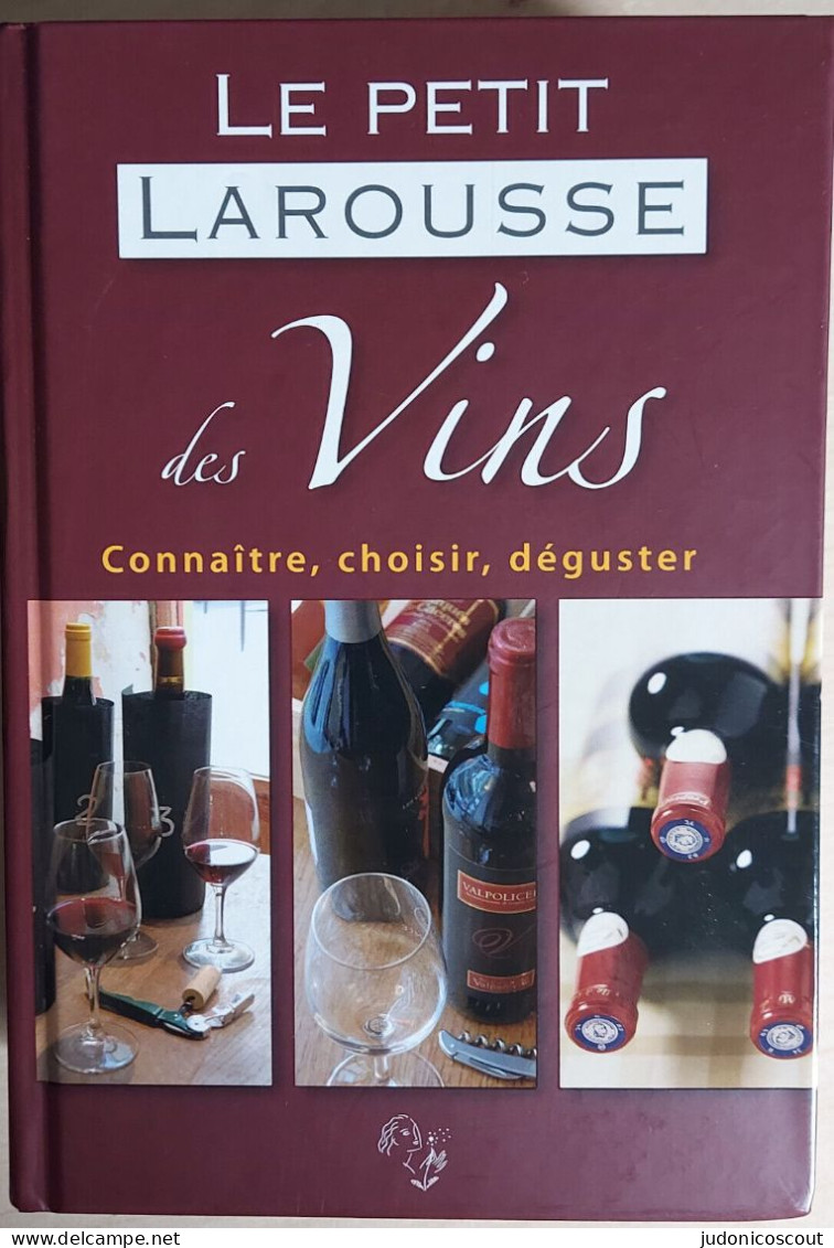 Livre - Le Petit Larousse Des Vins - Connaître, Choisir, Déguster - Ed 2008 - Dictionnaires