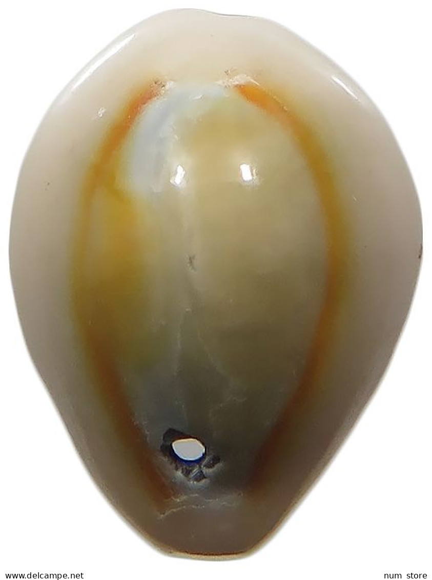 CHINA   Cowry Shell Money #sm02 0623 - Chine