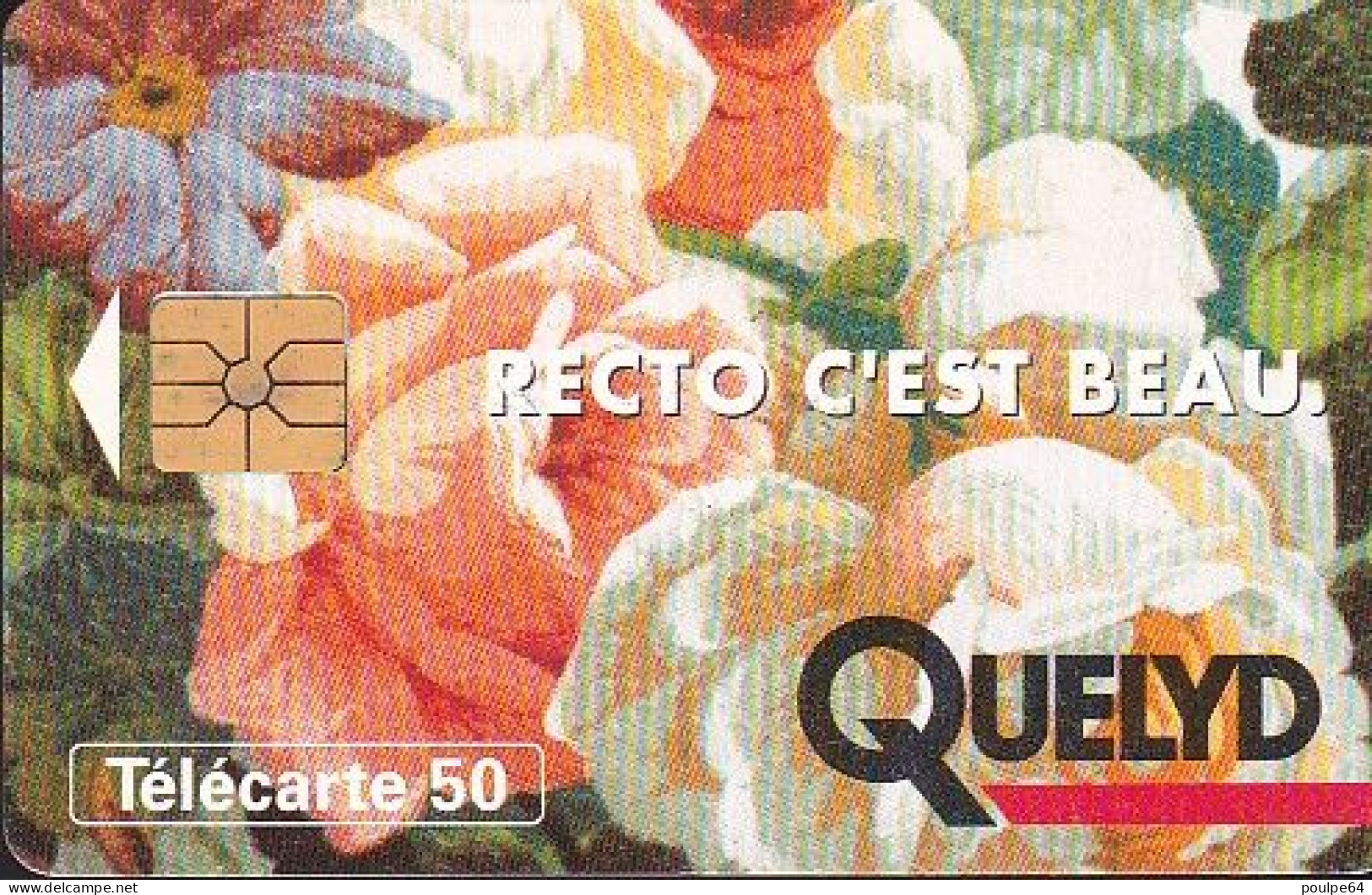 F460 - 04/1994 - QUELYD - 50 GEM1A (verso : Double Logo Moreno) - 1994