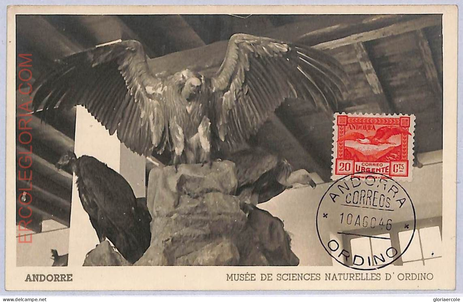 Ad8719 - ANDORRA  - POSTAL HISTORY -  Maximum Card- 1946 Natural History Museum - Otros & Sin Clasificación