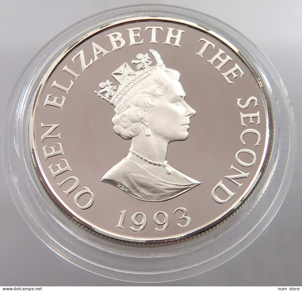 ALDERNEY 2 POUNDS 1993 Elisabeth II. (1952-) #alb046 0161 - Autres & Non Classés
