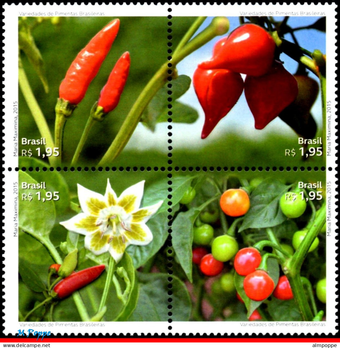 Ref. BR-3315-FO BRAZIL 2015 - VARIETIES OF BRAZILIANPEPPERS, FRUIT, SHEET MNH, FLOWERS, PLANTS 24V Sc# 3315 - Blocks & Sheetlets