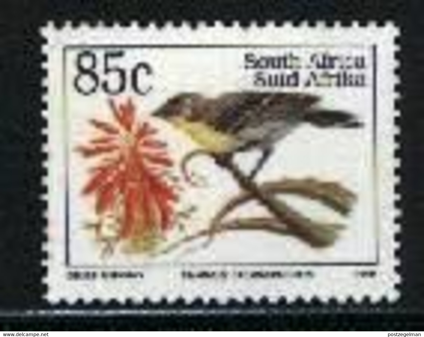 REPUBLIC OF SOUTH AFRICA, 1995, MNH Stamp(s) Endangered Bird ,   Nr(s.) 974 - Nuevos
