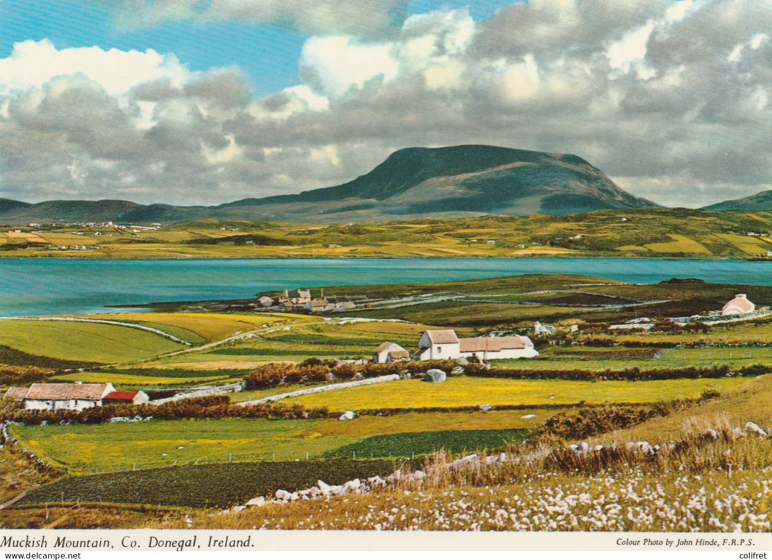 Irlande - Donegal  -  Muckish Mountain - Donegal