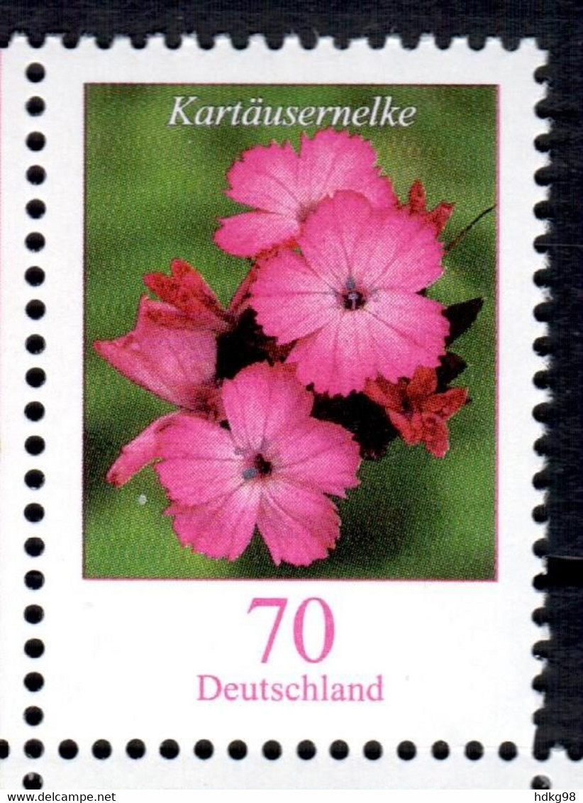 D+ Deutschland 2006 Mi 2529 Mnh Nelke - Ungebraucht